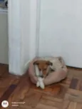 Lili