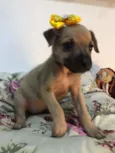 Kiara