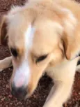 Billy 