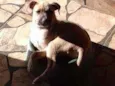 Não tem