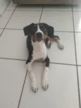Farofa