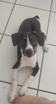 Farofa