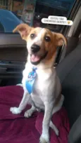 Zé