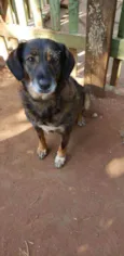 Marronzinha