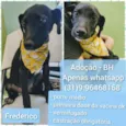 Frederico