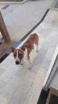 João