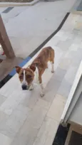 João