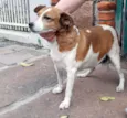 Princesa