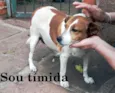 Princesa
