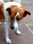 Princesa