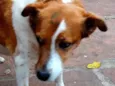 Princesa