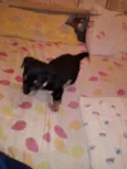 Bernardo