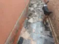 Pretinho