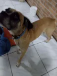 Akim