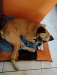 Akim
