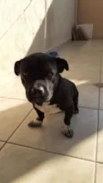tomas