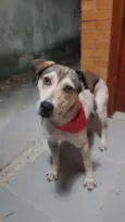 Cora