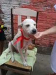 Belinha