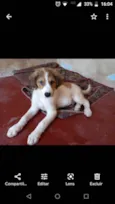 Bob