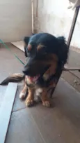 Sammy