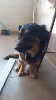 Sammy