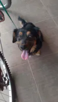Sammy