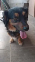 Sammy