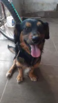 Sammy