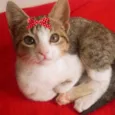 Tina 