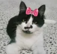Nina 