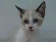Marie