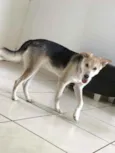 Zoe