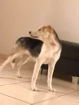 Zoe