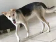 Zoe