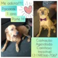 Paçoca 