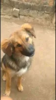 Não sei