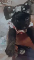 Nanah