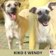 KIKO E WENDY