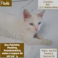 FADA