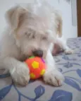 BABÚ