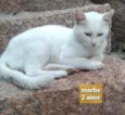 Não sei 