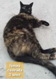 Não sei 