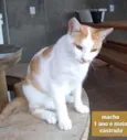 Não sei 