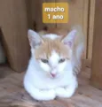 Não sei 