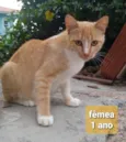 Não sei 