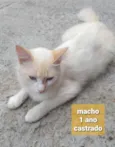 Não sei 