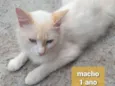 Não sei 