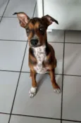 Mel