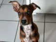 Mel