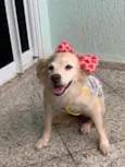 Tininha